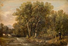 Wooded Landscape, 1851. Creator: William Bath.