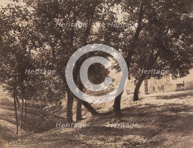 Trees, c. 1855. Creator: André Giroux.