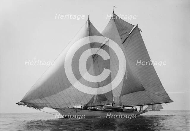 Loyal, 1894 Aug 11. Creator: John S Johnston.