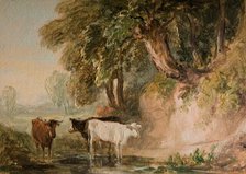 Pastoral Scene With Cattle, [19th century]. Creator: Lines Family.