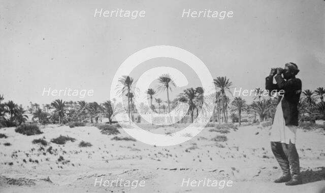 Oasis of Misturata, between c1910 and c1915. Creator: Bain News Service.