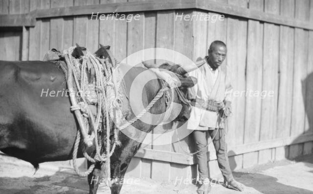 Travel views of Japan and Korea, 1908. Creator: Arnold Genthe.
