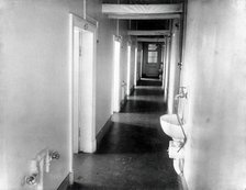 The corridor with washbasins in the special clinic for animals in the Physiology Department..., 1904 Creator: Unknown.