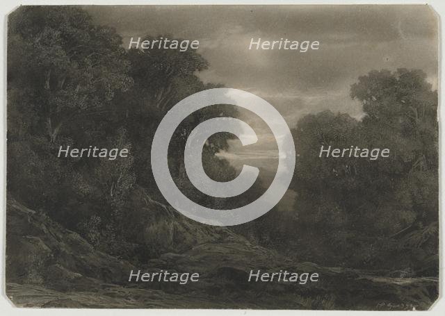 Landscape with Trees. Creator: Jean-Philippe George (Swiss, 1818-1888).