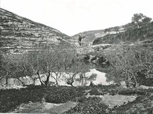 The Pool of Siloam, Jerusalem, Palestine, 1895. Creator: W & S Ltd.