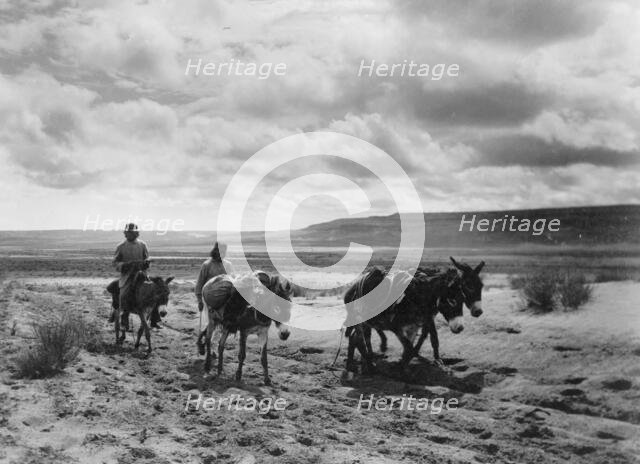 Burros and Moki men on the road, c1900. Creator: Edward Sheriff Curtis.