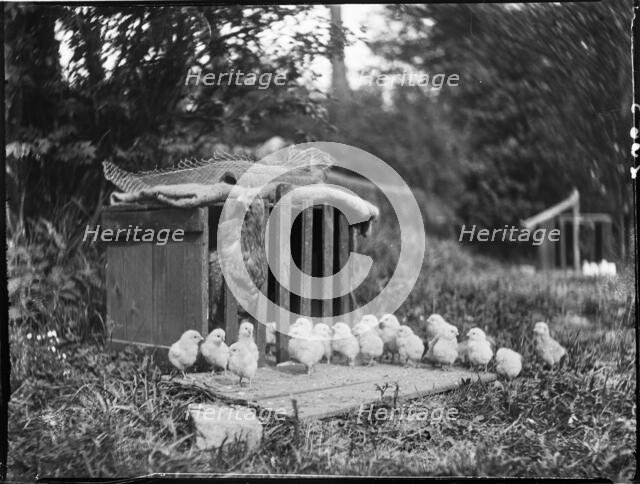 Clayton's Farm, Speldhurst, Tunbridge Wells, Kent, 1911. Creator: Katherine Jean Macfee.