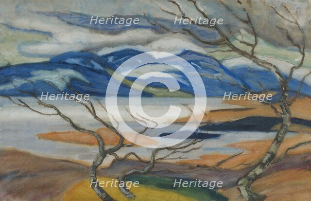 Torne Marsh in Spring, late 19th-early 20th century. Creator: Helmer Osslund.