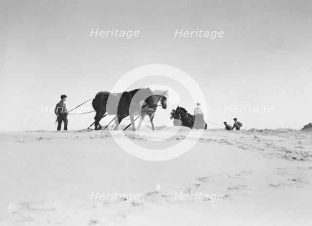 Beach scene with horses, East Hampton, Long Island, between 1933 and 1942. Creator: Arnold Genthe.