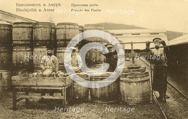 Nikolaevsk-on-Amur. Pressing fish, 1900. Creator: Unknown.