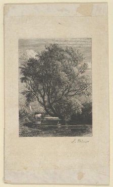 The Willow, 1850. Creator: Samuel Palmer.