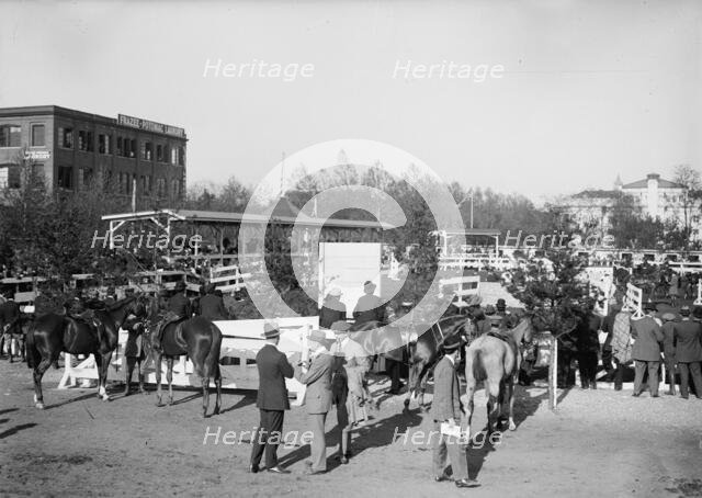 Horse Shows - General Views, 1912. Creator: Harris & Ewing.
