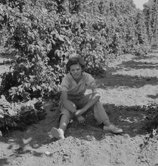 Possibly: Wife of an ex-logger, now a migrat..., Independence (vicinity), Polk County, Oregon, 1939. Creator: Dorothea Lange.