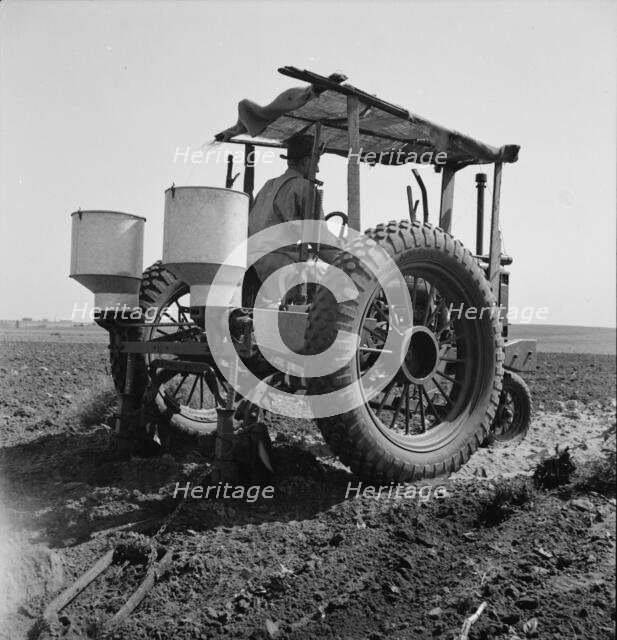 Tractor and operator, Navarro, Texas, 1937. Creator: Dorothea Lange.