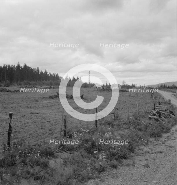 Possibly: Another cut-over farm located across the road from..., Michigan Hill, Washington, 1939. Creator: Dorothea Lange.