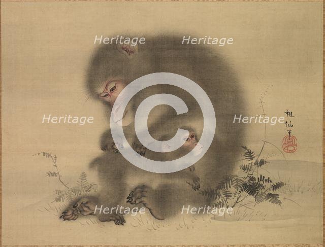 Monkeys, late 18th-early 19th century. Creator: Mori Sosen (Japanese, 1747-1821).