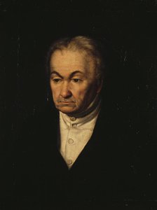 Portrait of Pyotr Ivanovich Milykov.
