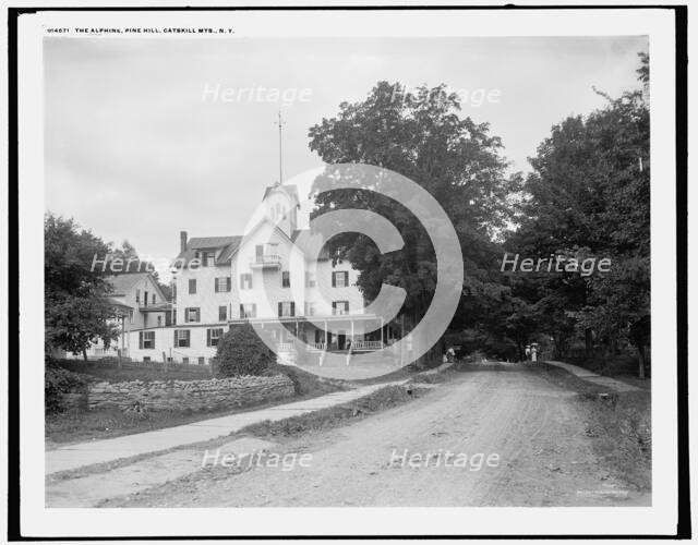 The Alphine i.e. Alpine, Pine Hill, Catskill Mts., N.Y., (1902?). Creator: Unknown.