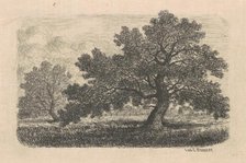Apple Trees, 1870s-1880s. Creator: Carl C. Brenner.