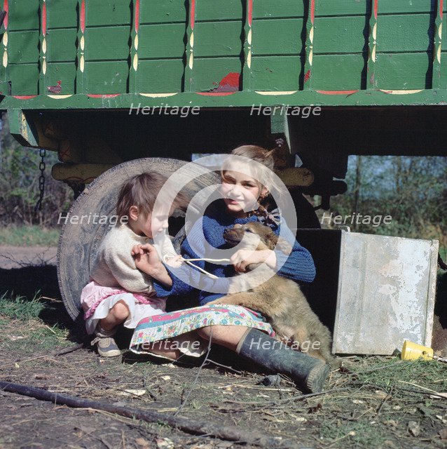 Two young gipsy girls playing with a dog, Charlwood, Newdigate area, Surrey, 1964.