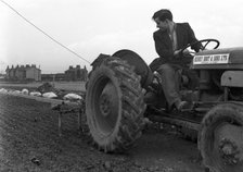 Road construction work, Doncaster, South Yorkshire, November 1955. Artist: Michael Walters