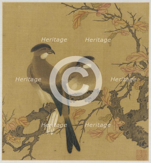 Two crested birds on a branch; autumn leaves, Qing dynasty, 18th century. Creator: Unknown.