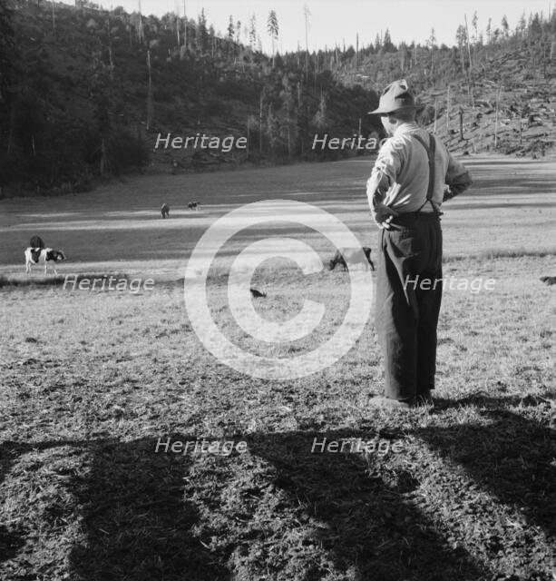 Untitled, between 1935 and 1942. Creator: Dorothea Lange.