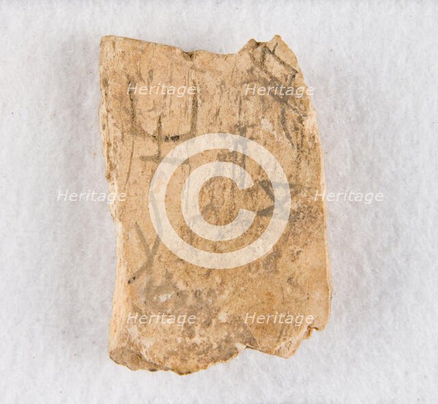 Inscribed bone fragment ("oracle bone"), Late Shang dynasty, ca. 1300-1050 BCE. Creator: Unknown.