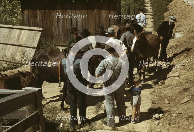 Mountaineers and farmers trading mules and horses on "Jockey St.,", Campton, Wolfe County, Ky., 1940 Creator: Marion Post Wolcott.