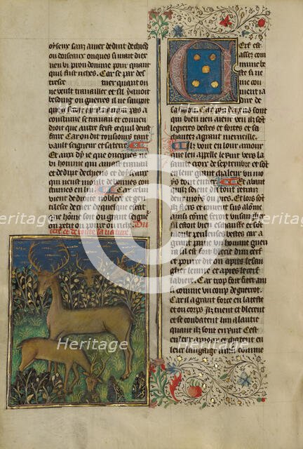 Deer; Livre de la Chasse, about 1430-1440. Creator: Unknown.