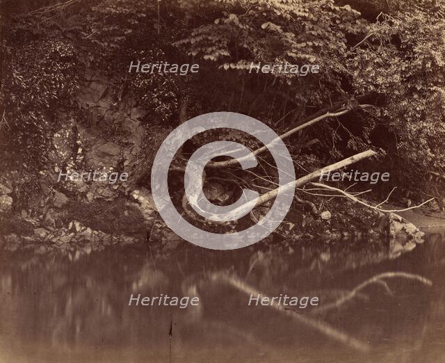 River Bank in the Vale of Neath, c. 1855. Creator: G. B. Gething.