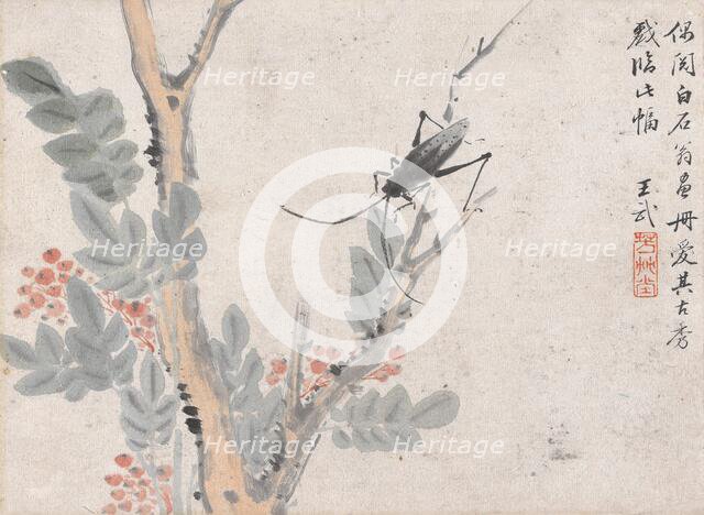 Insect and Tree after Shen Zhou, date unknown, c1652-1690. Creator: Wang Wu.