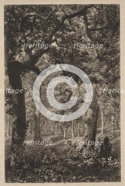 In the Woods. Creator: Adolphe Théodore Jules Martial Potémont (French, 1828-1883).