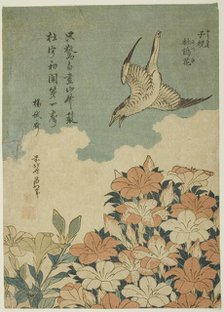 Cuckoo and Azaleas (Hototogisu, satsuki), Japan, c. 1834. Creator: Hokusai.