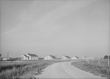 Houses at Lake Dick cooperative, Arkansas, 1938. Creator: Dorothea Lange.