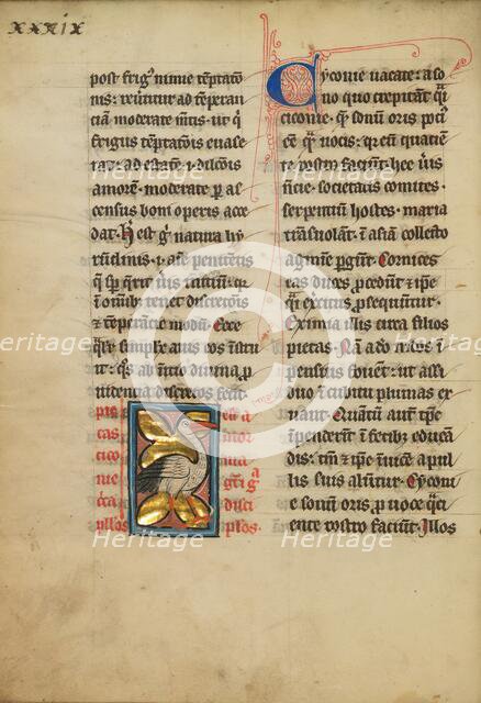 A Stork; De Natura Avium; De Pastoribus et Ovibus, On the Soul, 1277 or after. Creator: Unknown.