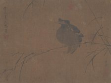 Mynah on Reed. Creator: Attributed to Fulan Taorên.