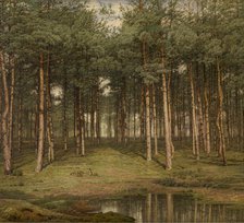 Fir Wood at Putte, 1883. Creator: Jean Pierre François Lamoriniere.