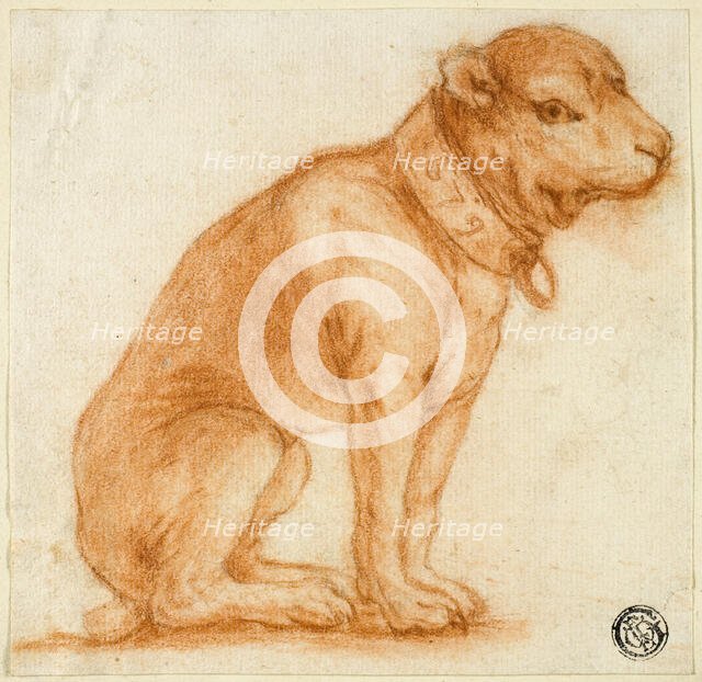 Seated Dog with Collar, 1695-1721. Creator: Dirk Valkenburg.