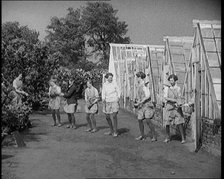 Young Female Civilians Outside a Greenhouse Standing in a Row Passing Plant Pots Along..., 1920. Creator: British Pathe Ltd.