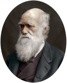 Charles Darwin, British naturalist, 1878. Artist: Unknown