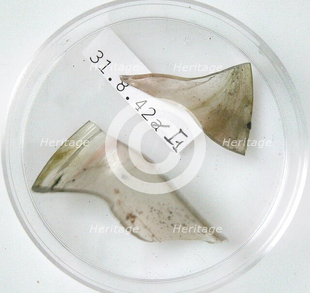 Glass Fragments, Coptic, 4th century. Creator: Unknown.