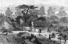 The old physic garden, Chelsea, 1890. Artist: Unknown