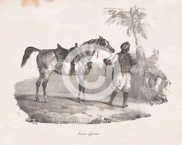Egyptian Mare, 1822. Creator: Théodore Géricault (French, 1791-1824).