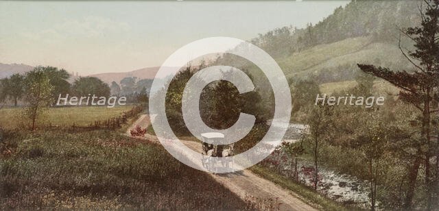 The Drive, Poagshole, Dansville, N.Y., ca 1900. Creator: Unknown.