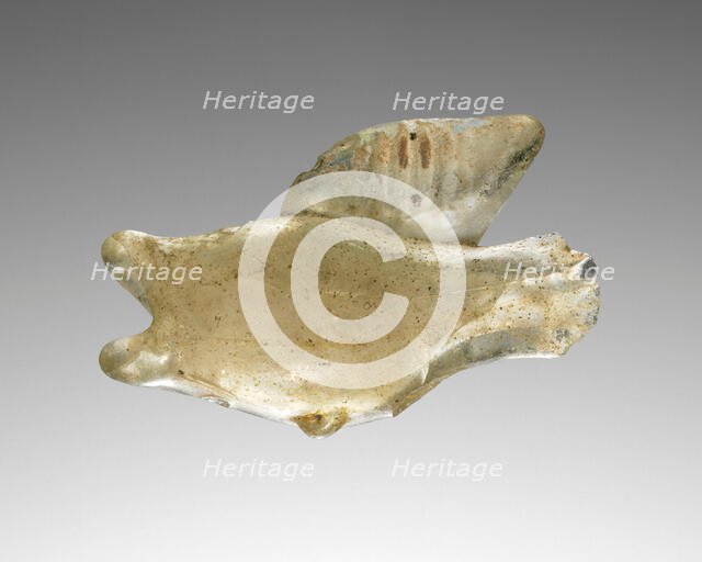 Fish Flask, 3rd century A.D. Creator: Unknown.