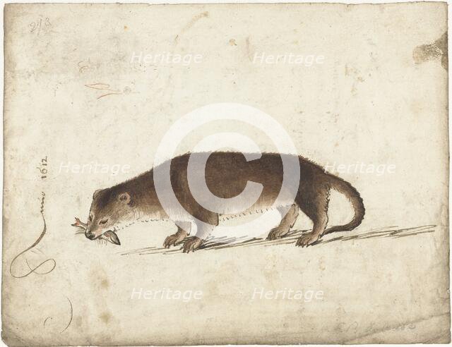 Otter with a fish in his mouth, 1612. Creator: Gerard ter Borch I.