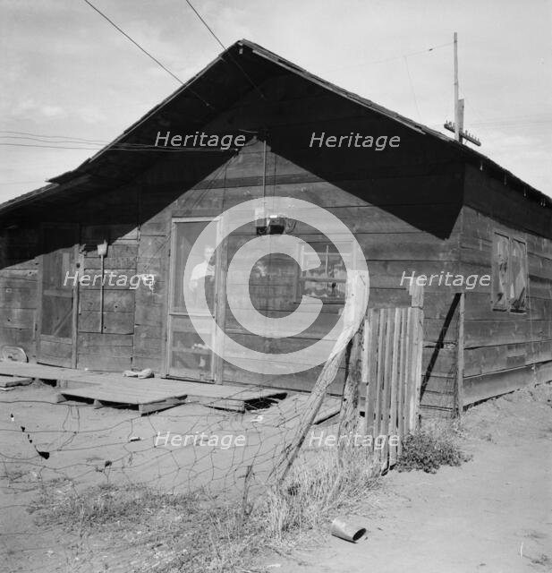 Family living in shacktown community, Washington, Yakima Valley, Wapato, 1939. Creator: Dorothea Lange.