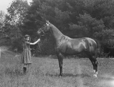 Wertheimer, A., Mr., horse of, 1924 June or July. Creator: Arnold Genthe.