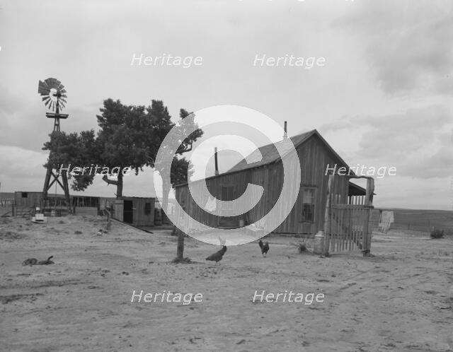 Texas tenant farmer's house, 1937. Creator: Dorothea Lange.